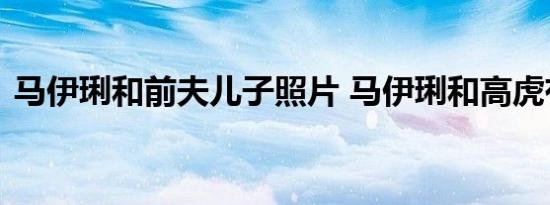 马伊琍和前夫儿子照片 马伊琍和高虎有一子
