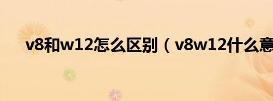 v8和w12怎么区别（v8w12什么意思）