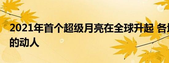 2021年首个超级月亮在全球升起 各地月色美的动人