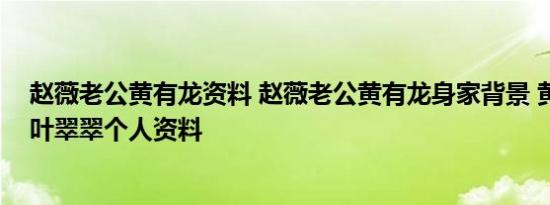 赵薇老公黄有龙资料 赵薇老公黄有龙身家背景 黄有龙前妻叶翠翠个人资料
