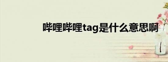 哔哩哔哩tag是什么意思啊