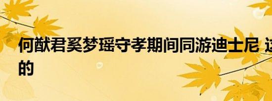 何猷君奚梦瑶守孝期间同游迪士尼 这是怎样的