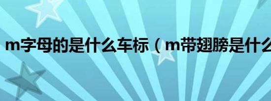 m字母的是什么车标（m带翅膀是什么车标）