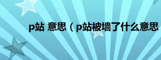 p站 意思（p站被墙了什么意思）