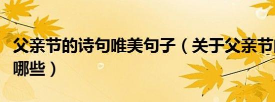 父亲节的诗句唯美句子（关于父亲节的诗句有哪些）