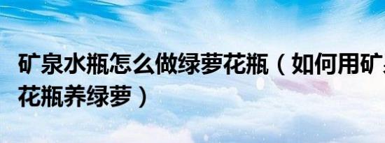 矿泉水瓶怎么做绿萝花瓶（如何用矿泉水瓶做花瓶养绿萝）