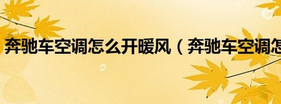 奔驰车空调怎么开暖风（奔驰车空调怎么开）