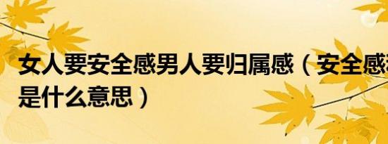 女人要安全感男人要归属感（安全感和归属感是什么意思）