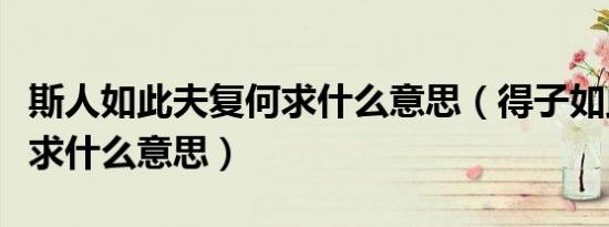 斯人如此夫复何求什么意思（得子如此夫复何求什么意思）