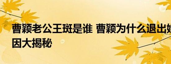 曹颖老公王斑是谁 曹颖为什么退出娱乐圈原因大揭秘