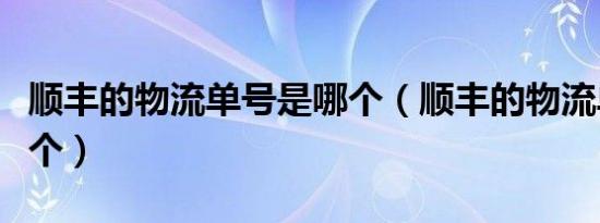 顺丰的物流单号是哪个（顺丰的物流单号是哪个）