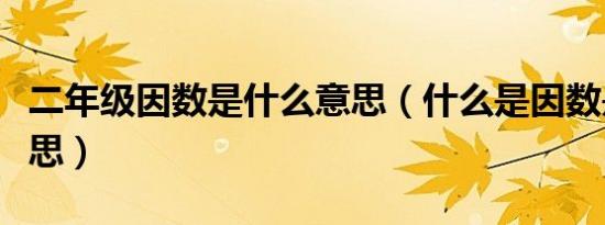 二年级因数是什么意思（什么是因数是什么意思）