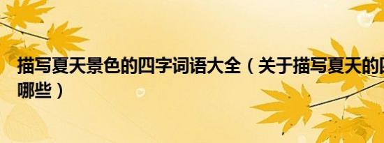 描写夏天景色的四字词语大全（关于描写夏天的四字词语有哪些）