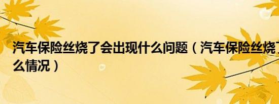 汽车保险丝烧了会出现什么问题（汽车保险丝烧了会出现什么情况）