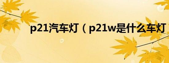p21汽车灯（p21w是什么车灯）