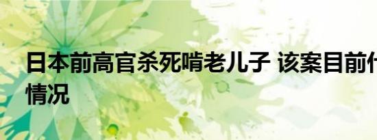 日本前高官杀死啃老儿子 该案目前什么进展情况