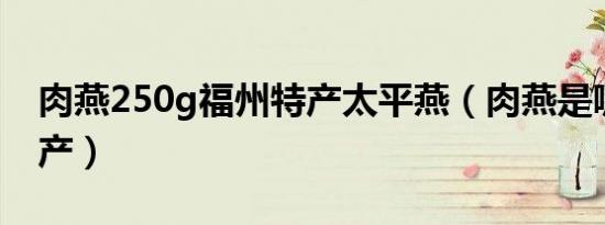 肉燕250g福州特产太平燕（肉燕是哪里的特产）