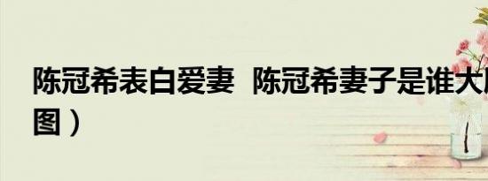 陈冠希表白爱妻 陈冠希妻子是谁大胆示爱（图）