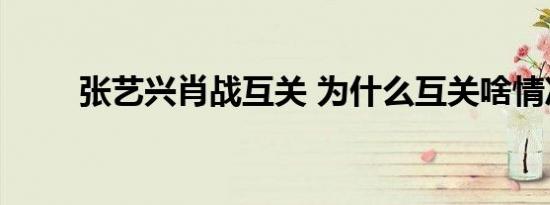张艺兴肖战互关 为什么互关啥情况