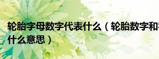 轮胎字母数字代表什么（轮胎数字和字母代表什么意思）