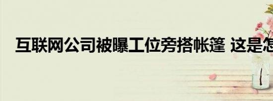 互联网公司被曝工位旁搭帐篷 这是怎样的