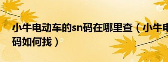 小牛电动车的sn码在哪里查（小牛电动车sn码如何找）