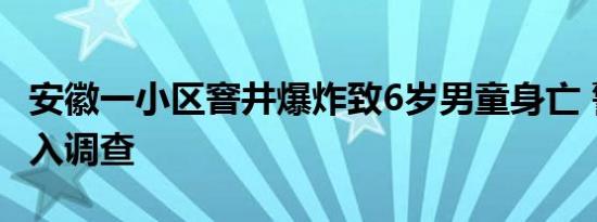 安徽一小区窨井爆炸致6岁男童身亡 警方已介入调查