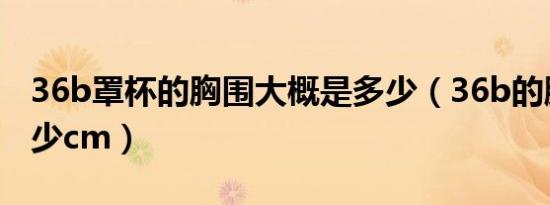 36b罩杯的胸围大概是多少（36b的胸围是多少cm）