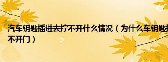 汽车钥匙插进去拧不开什么情况（为什么车钥匙插得进去拧不开门）