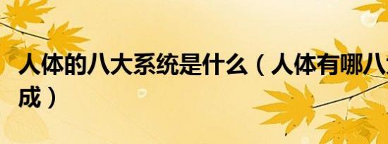 人体的八大系统是什么（人体有哪八大系统组成）