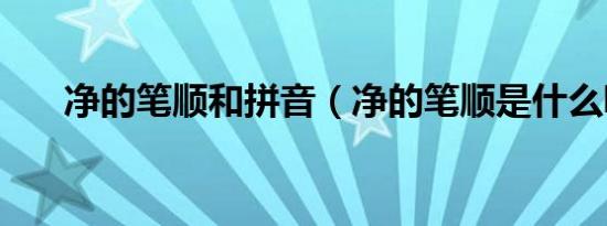 净的笔顺和拼音（净的笔顺是什么呢）