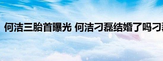 何洁三胎首曝光 何洁刁磊结婚了吗刁磊是谁