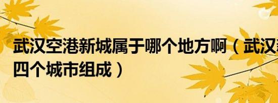 武汉空港新城属于哪个地方啊（武汉新港有哪四个城市组成）