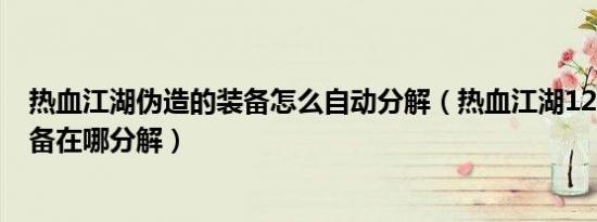 热血江湖伪造的装备怎么自动分解（热血江湖120伪造的装备在哪分解）