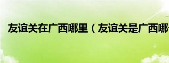 友谊关在广西哪里（友谊关是广西哪个市）