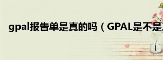 gpal报告单是真的吗（GPAL是不是真的）