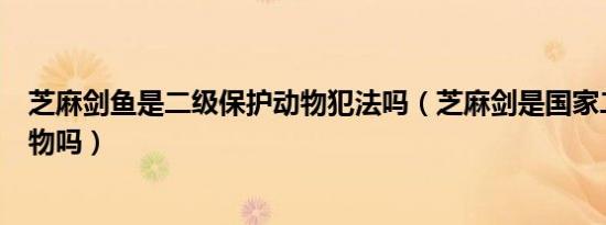 芝麻剑鱼是二级保护动物犯法吗（芝麻剑是国家二级保护动物吗）