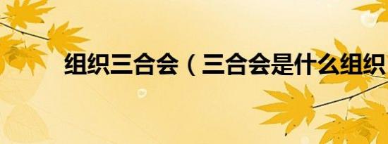 组织三合会（三合会是什么组织）