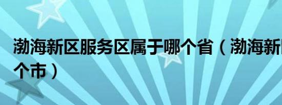 渤海新区服务区属于哪个省（渤海新区属于哪个市）
