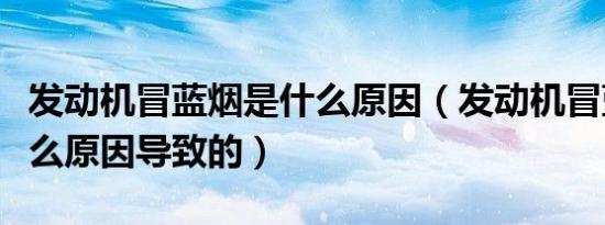 发动机冒蓝烟是什么原因（发动机冒蓝烟是什么原因导致的）