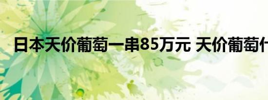 日本天价葡萄一串85万元 天价葡萄什么样