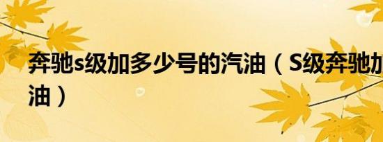 奔驰s级加多少号的汽油（S级奔驰加几号汽油）
