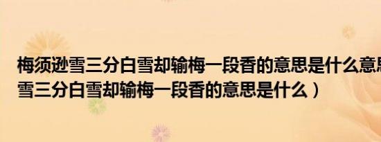 梅须逊雪三分白雪却输梅一段香的意思是什么意思（梅须逊雪三分白雪却输梅一段香的意思是什么）