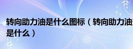 转向助力油是什么图标（转向助力油盖的标志是什么）