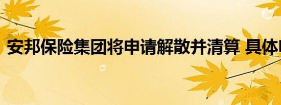 安邦保险集团将申请解散并清算 具体啥情况