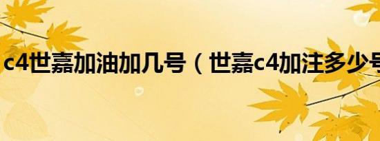 c4世嘉加油加几号（世嘉c4加注多少号汽油）