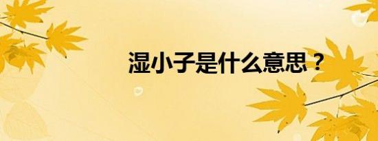 湿小子是什么意思？