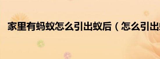 家里有蚂蚁怎么引出蚁后（怎么引出蚁后）