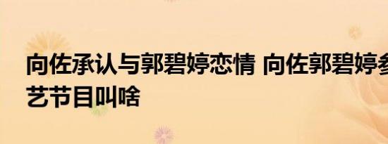 向佐承认与郭碧婷恋情 向佐郭碧婷参加的综艺节目叫啥