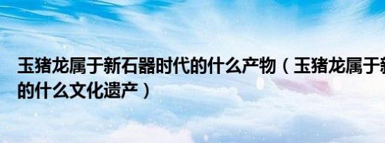 玉猪龙属于新石器时代的什么产物（玉猪龙属于新石器时代的什么文化遗产）